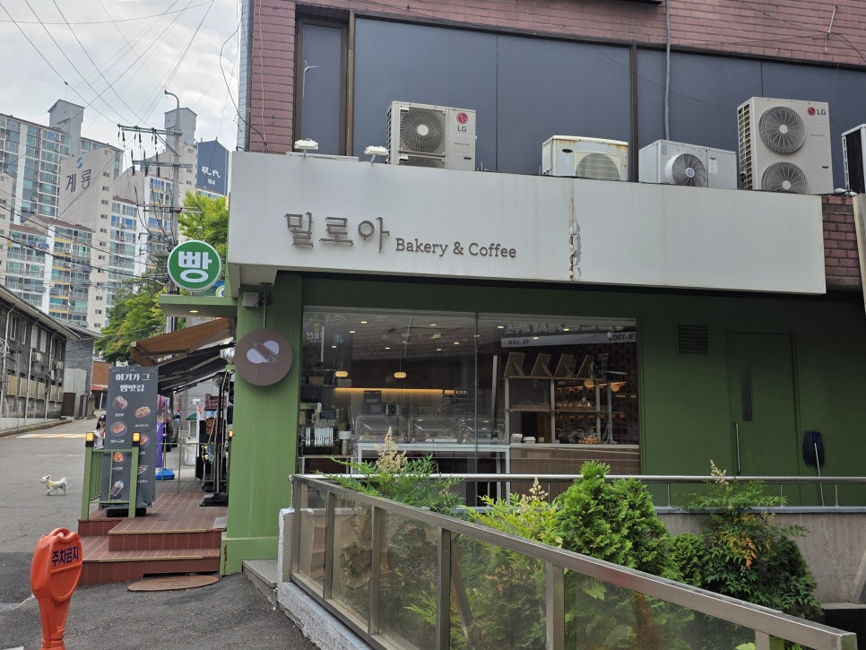 밀로아 사진 8