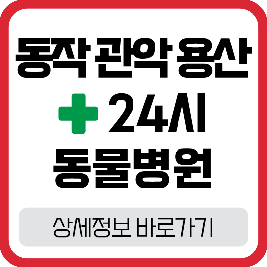 서울 24시 동물병원: 동작·관악·용산·마포 야간 응급 진료 안내