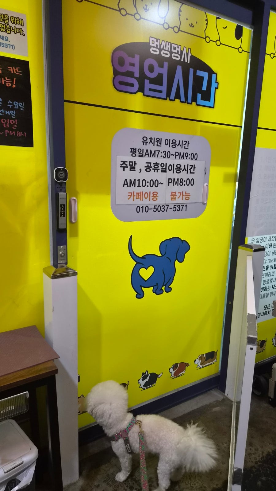 인천 굴포천 애견유치원 '멍생멍사' 데이케어 후기 — 사진 5