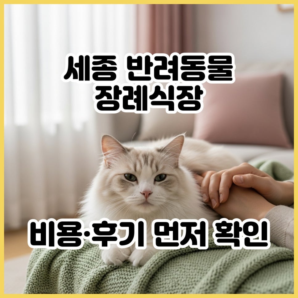세종 반려동물 장례식장 비용, 절차, 후기 완벽 안내