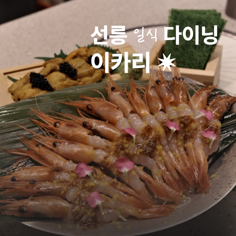 이카리 사진 4