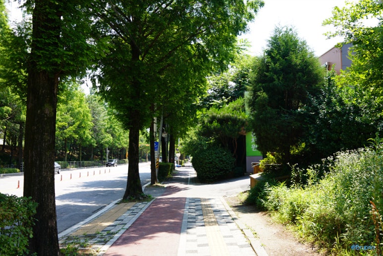 신동순대국 사진 3