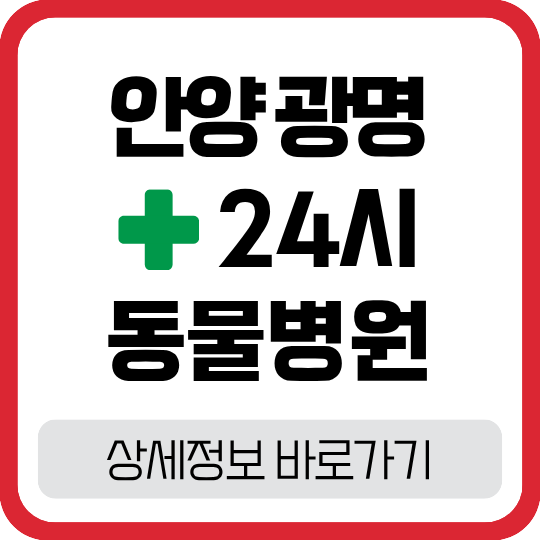 안양·광명 24시 강아지 동물병원: 야간 응급 진료 안내