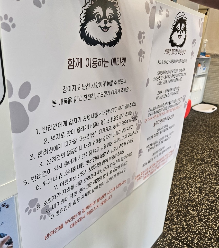 수원 그르르아르르 애견카페: 서울근교 실내 데이트 코스 — 사진 6