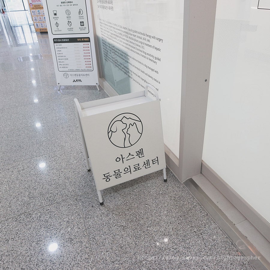 송파 아스펜동물의료센터 펫소좀 치료 후기 및 비용 안내 — 사진 13