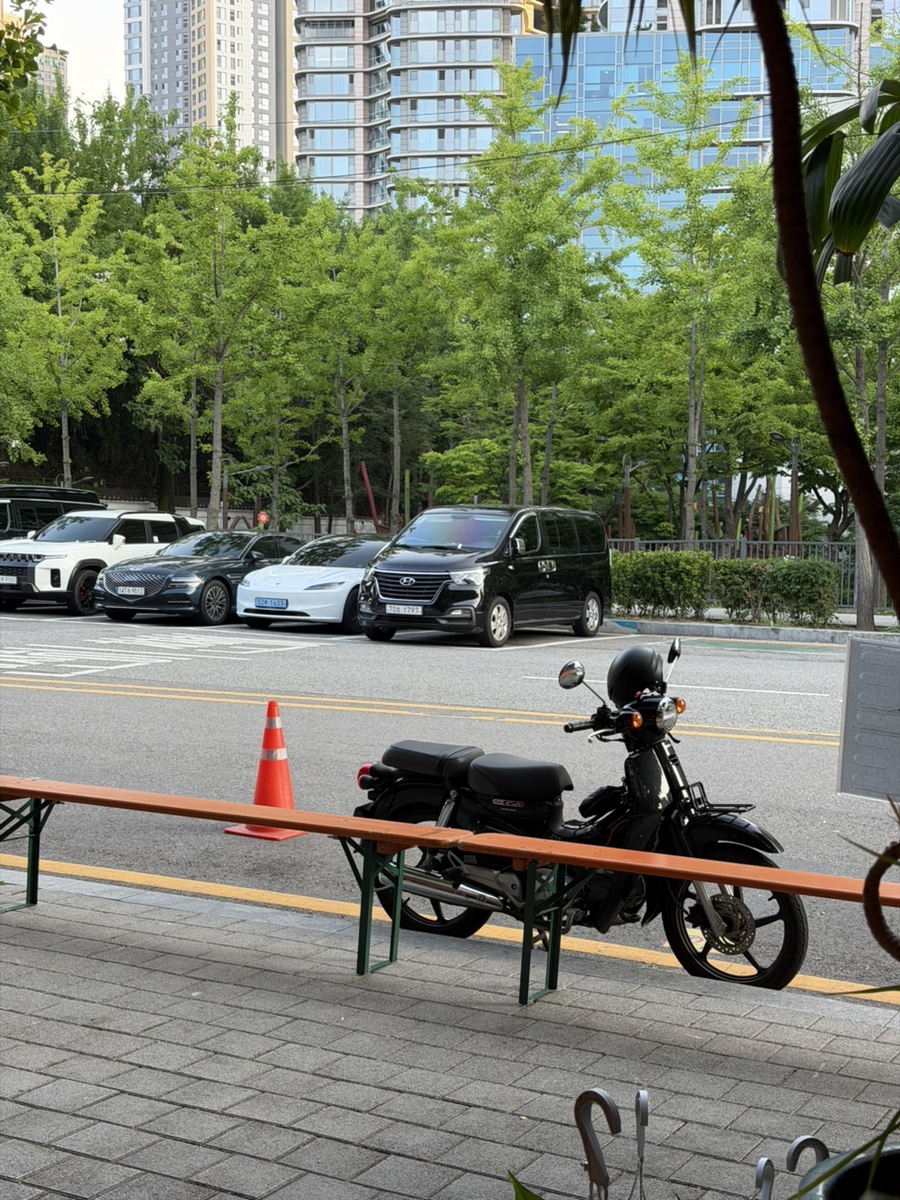 효뜨 사진 8