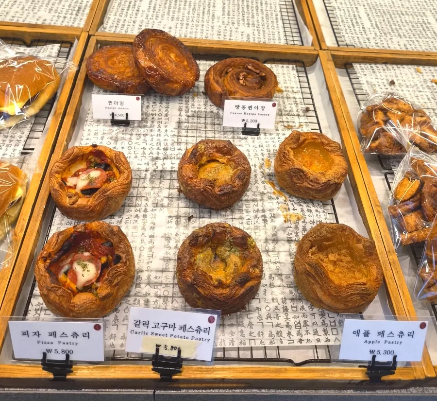 아로케 사진 7