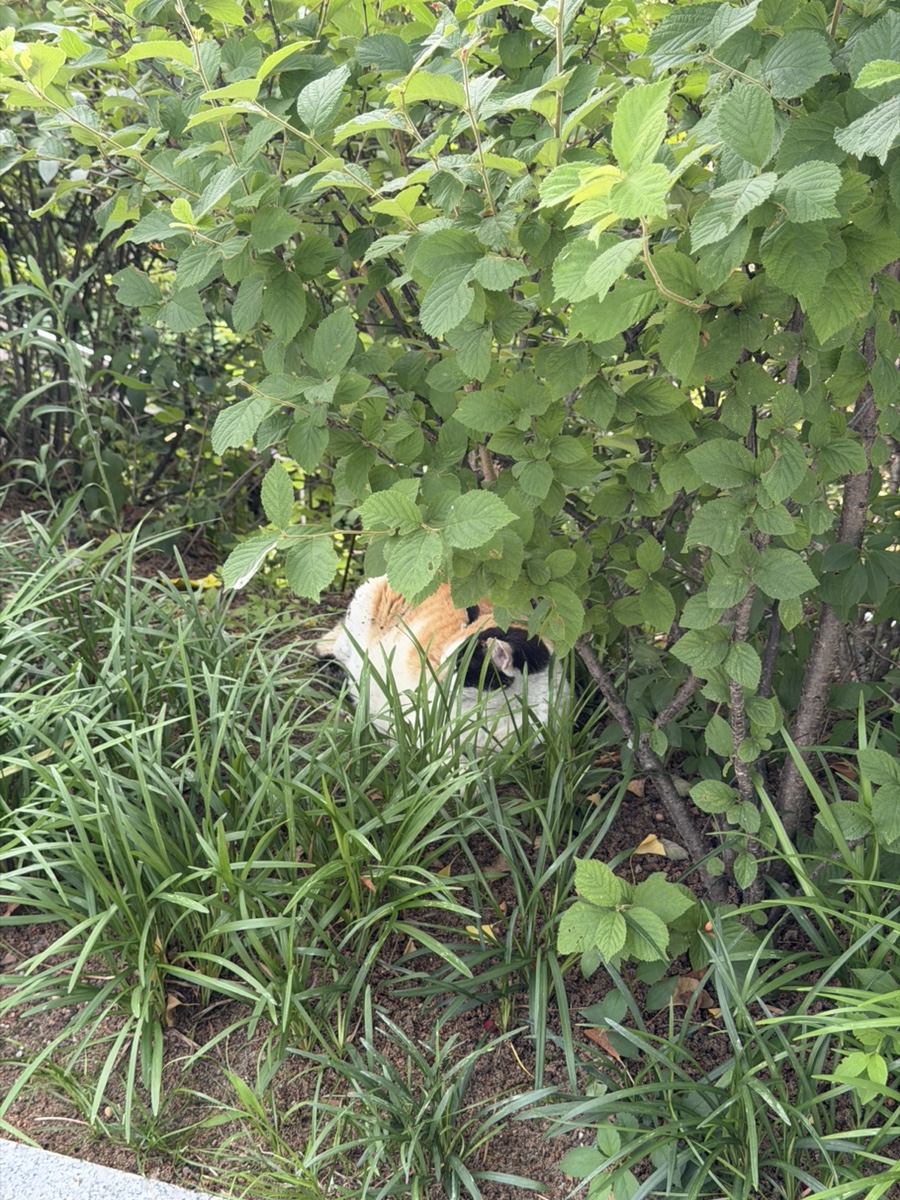 오제제 신용산점 사진 8