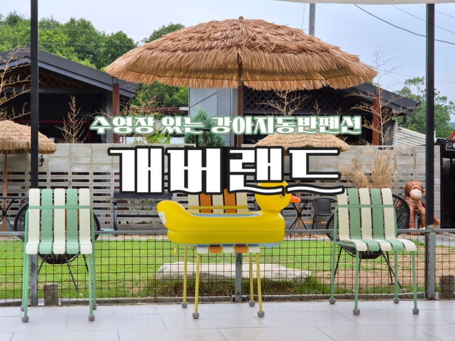 보은 애견동반펜션 '개버랜드' 강아지 여름휴가 후기