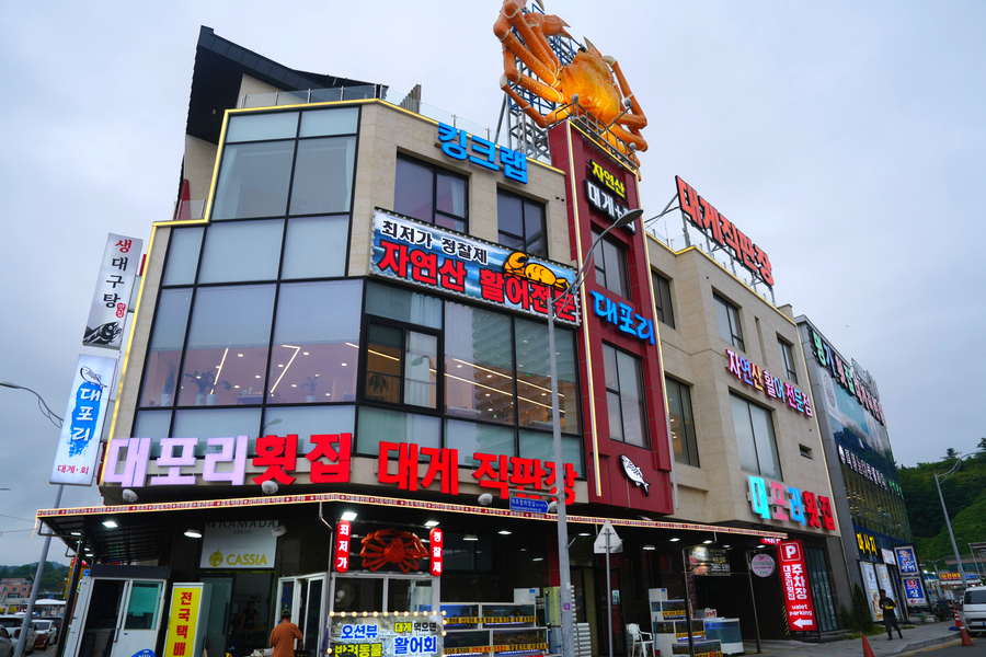 속초 애견동반 대게 맛집 대포리, 바다뷰와 10% 할인 팁 — 사진 2