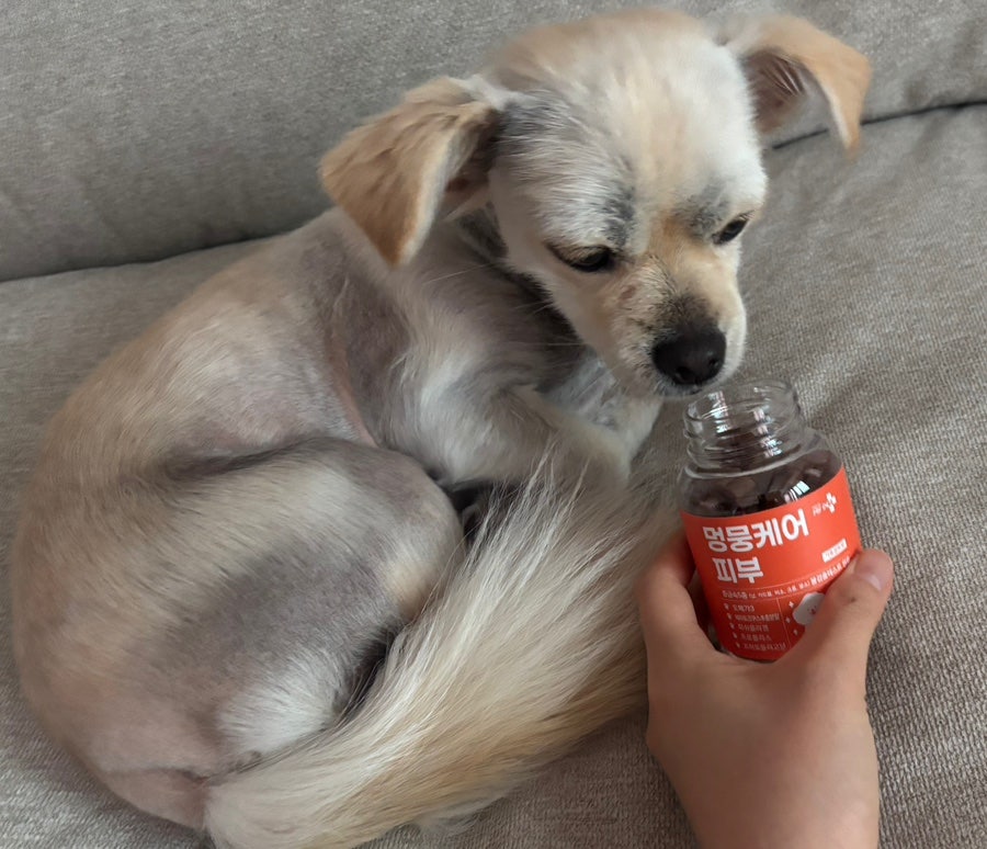 다이소 멍뭉케어 강아지 영양제, 가성비 관절·피부 간식 후기 — 사진 8