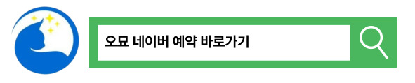 대구 고양이 무마취 미용, 브리티쉬 숏헤어 전문 오묘 — 사진 11