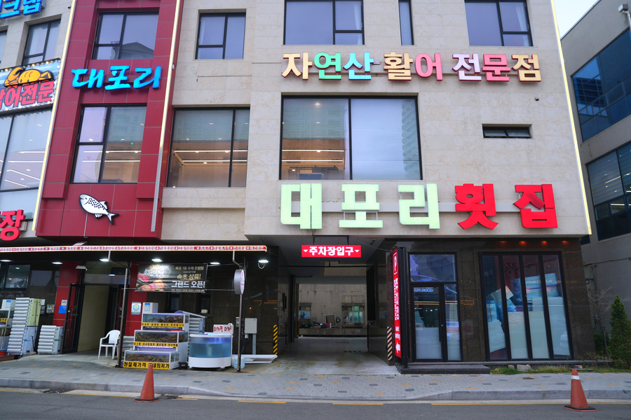 속초 애견동반 대게 맛집 대포리, 바다뷰와 10% 할인 팁 — 사진 5