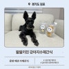 김포 애견 수제간식 왈왈키친, 운양동 방문 후기