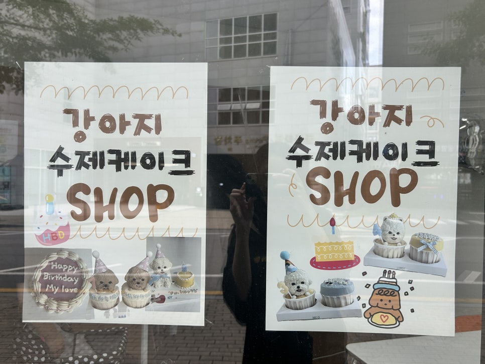 김포 애견 수제간식 왈왈키친, 운양동 방문 후기 — 사진 6