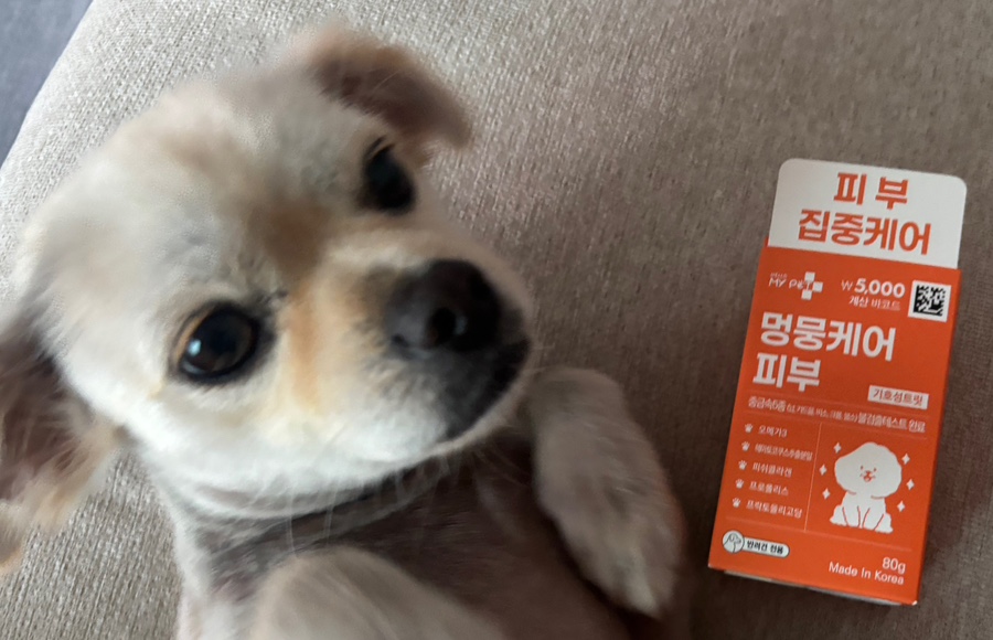 다이소 멍뭉케어 강아지 영양제, 가성비 관절·피부 간식 후기 — 사진 2