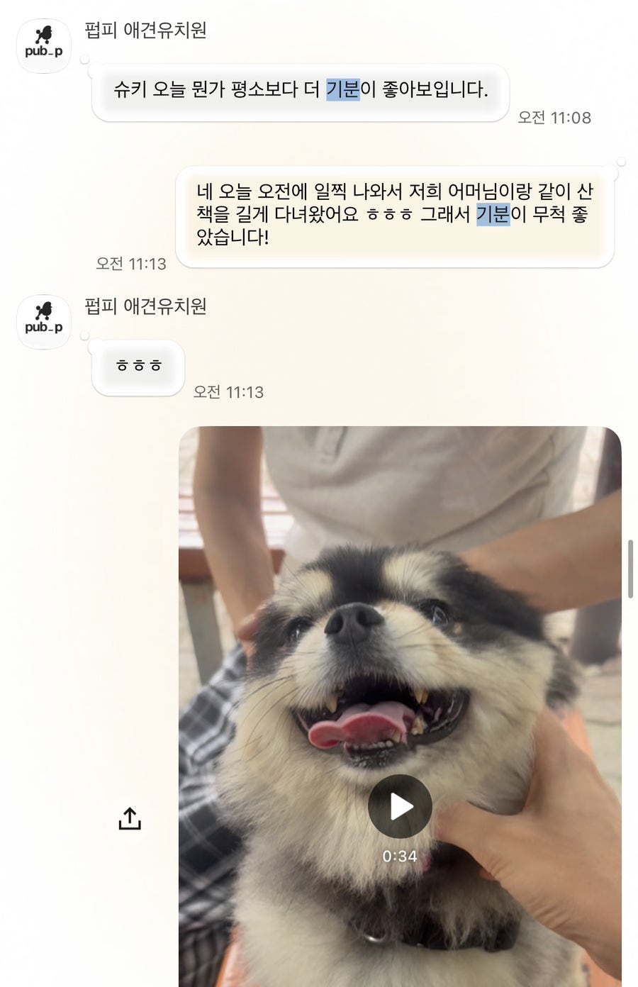 안양 애견유치원 펍피, 내 아이를 위한 선택 — 사진 4