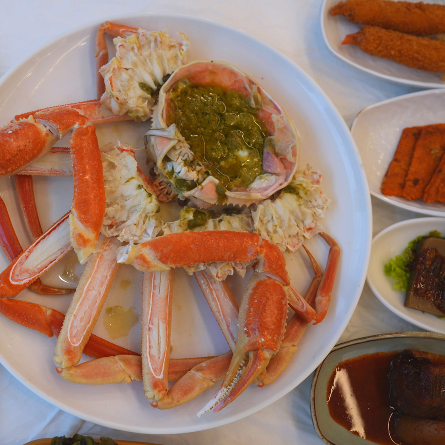 속초 애견동반 대게 맛집 대포리, 바다뷰와 10% 할인 팁