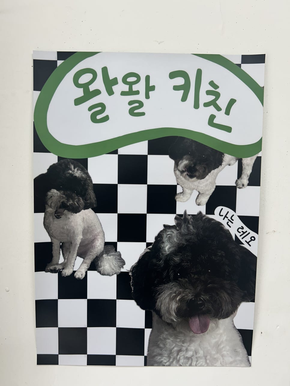 김포 애견 수제간식 왈왈키친, 운양동 방문 후기 — 사진 5