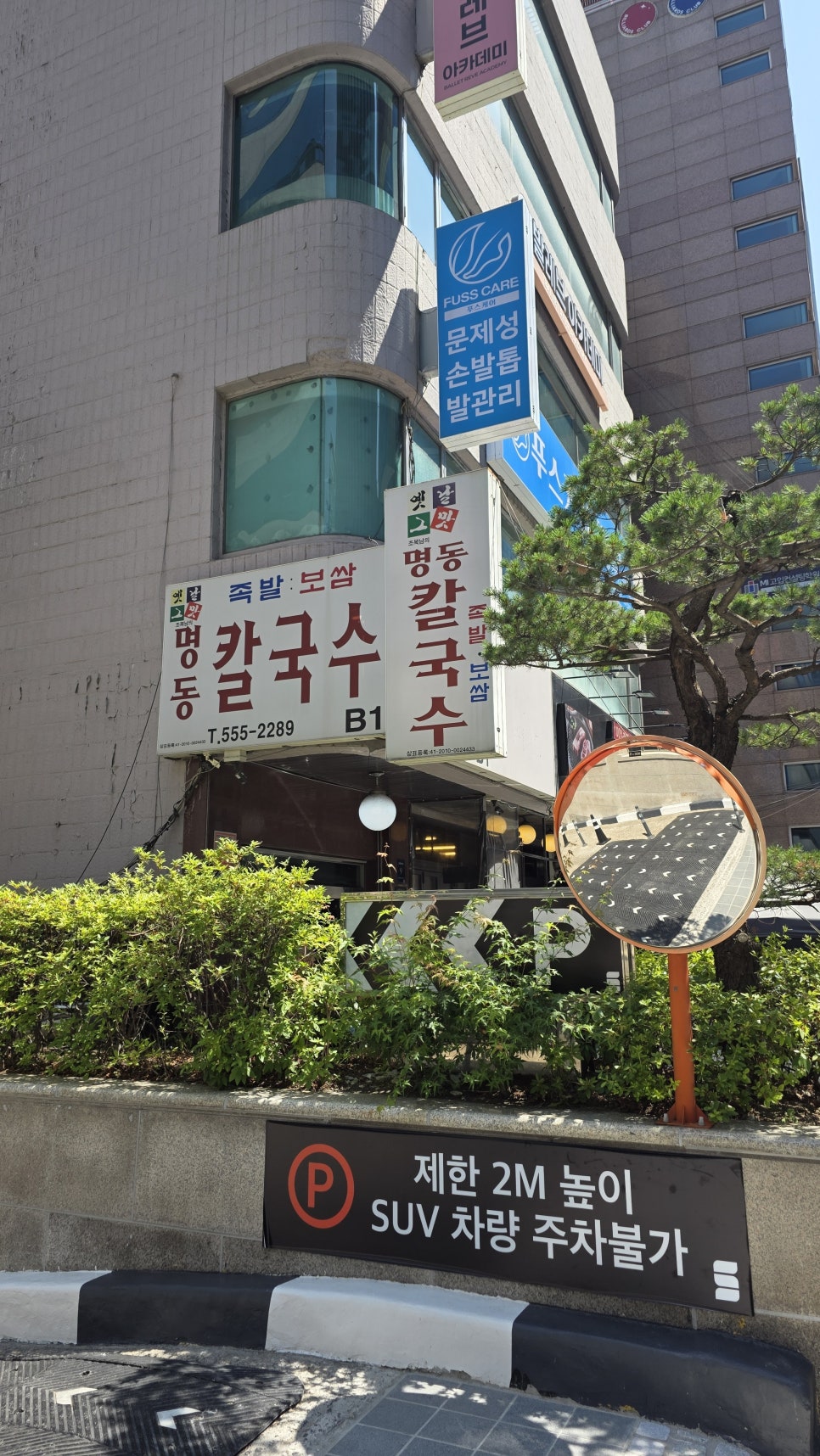 명동칼국수 선릉본점 사진 5
