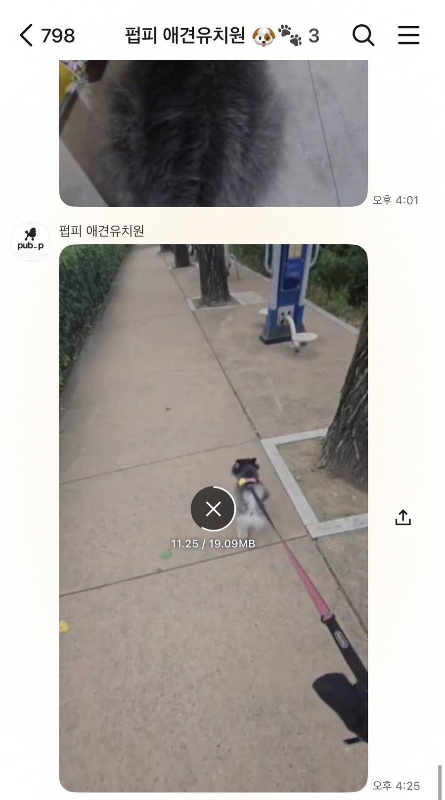 안양 애견유치원 펍피, 내 아이를 위한 선택 — 사진 2