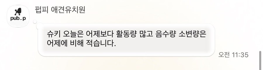 안양 애견유치원 펍피, 내 아이를 위한 선택 — 사진 5