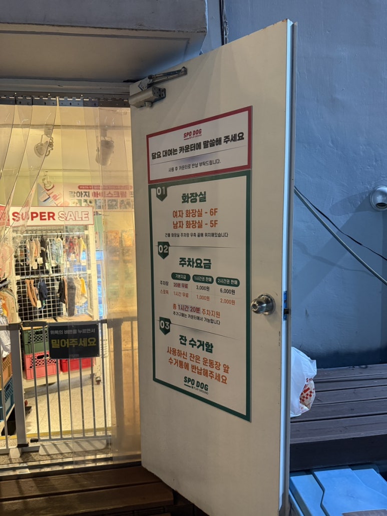 강아지 부산 스포독 애견운동장 후기: 물놀이와 넓은 공간 만끽