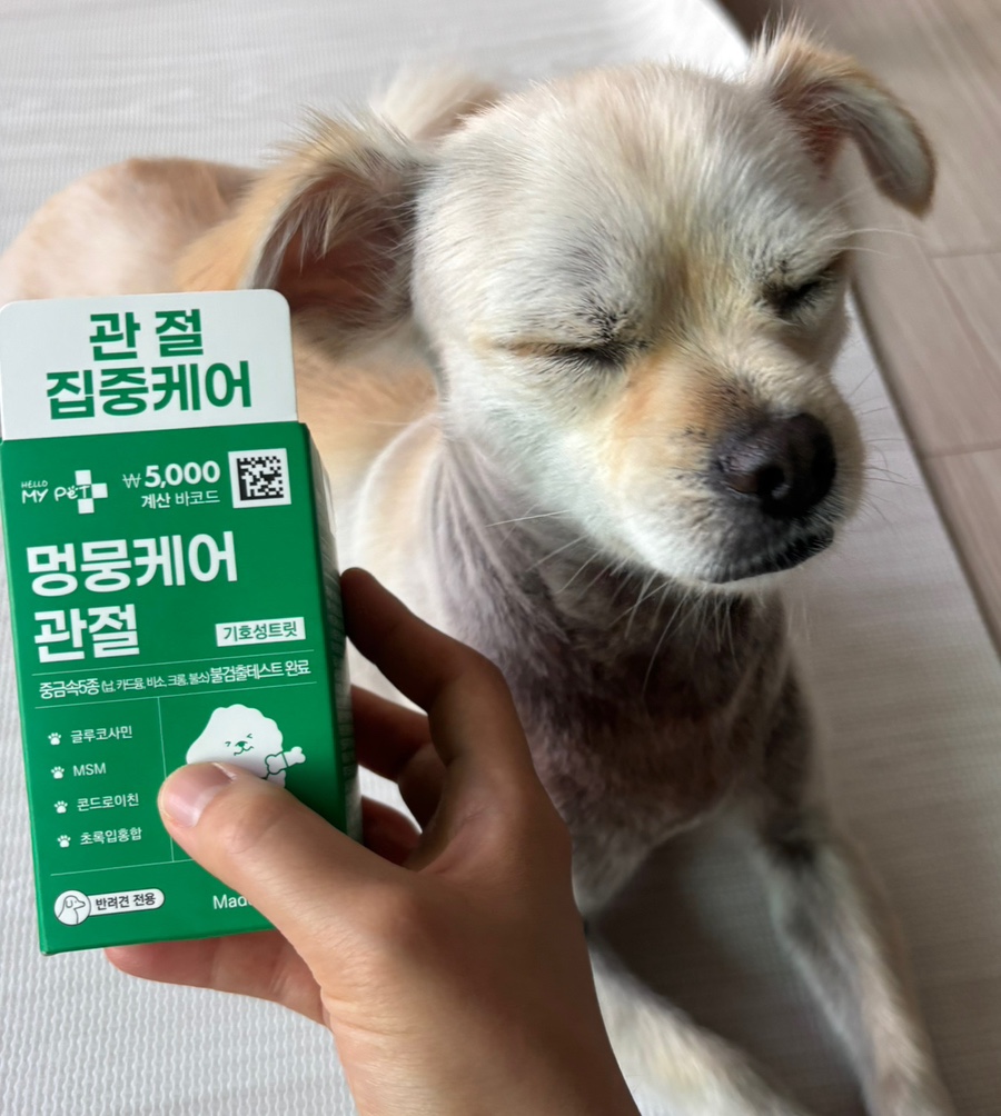 다이소 멍뭉케어 강아지 영양제, 가성비 관절·피부 간식 후기 — 사진 3