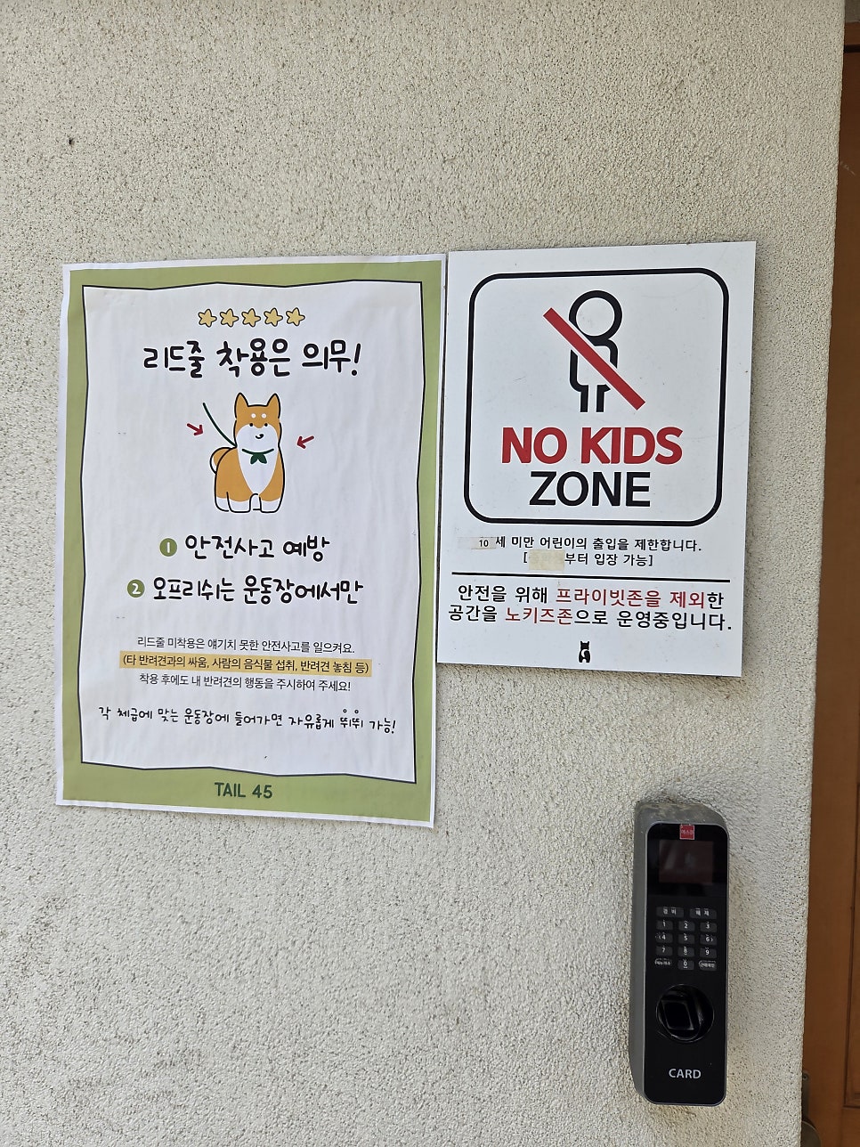 용인 테일45 애견운동장, 5000평 규모 프라이빗존 후기 — 사진 11