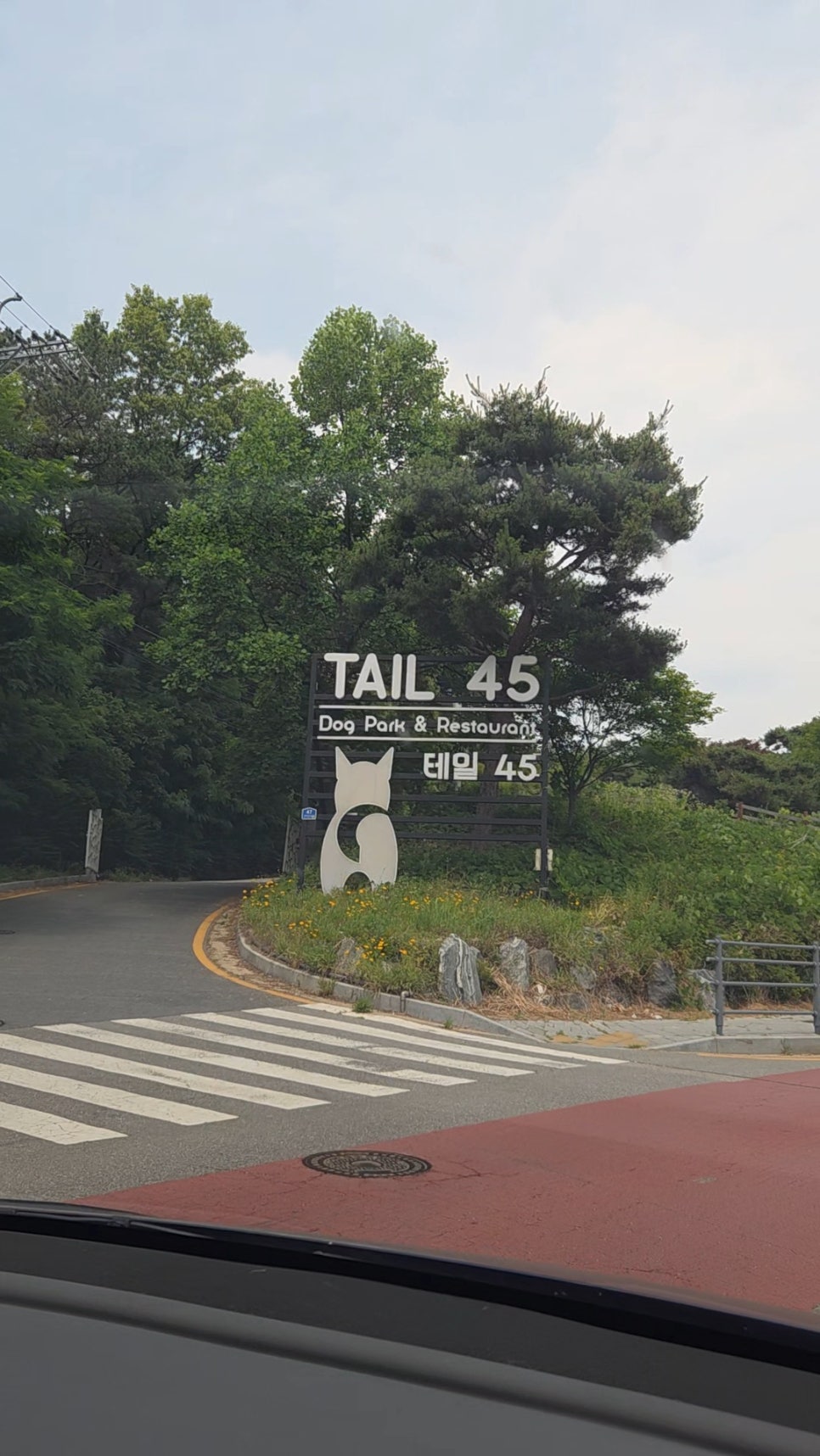 용인 테일45 애견운동장, 5000평 규모 프라이빗존 후기