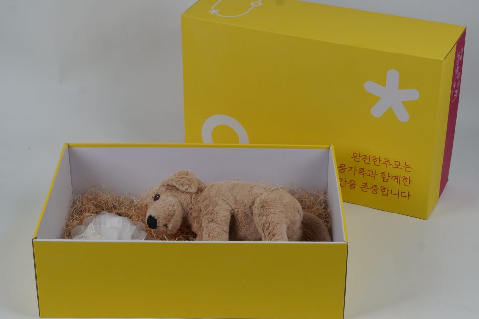 강아지 장례, 합리적 비용으로 존엄하게 이별 준비 — 사진 6