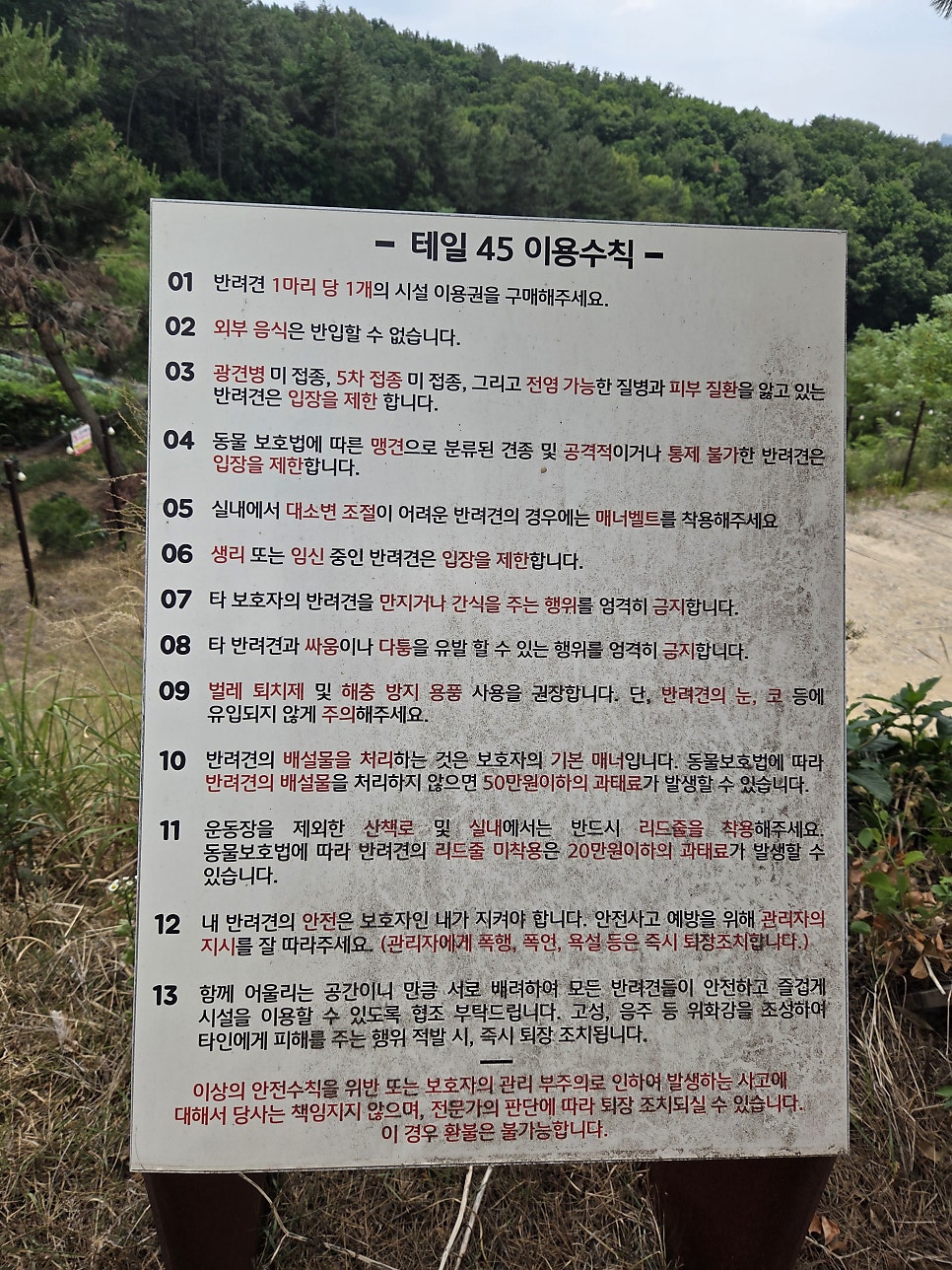 용인 테일45 애견운동장, 5000평 규모 프라이빗존 후기 — 사진 9
