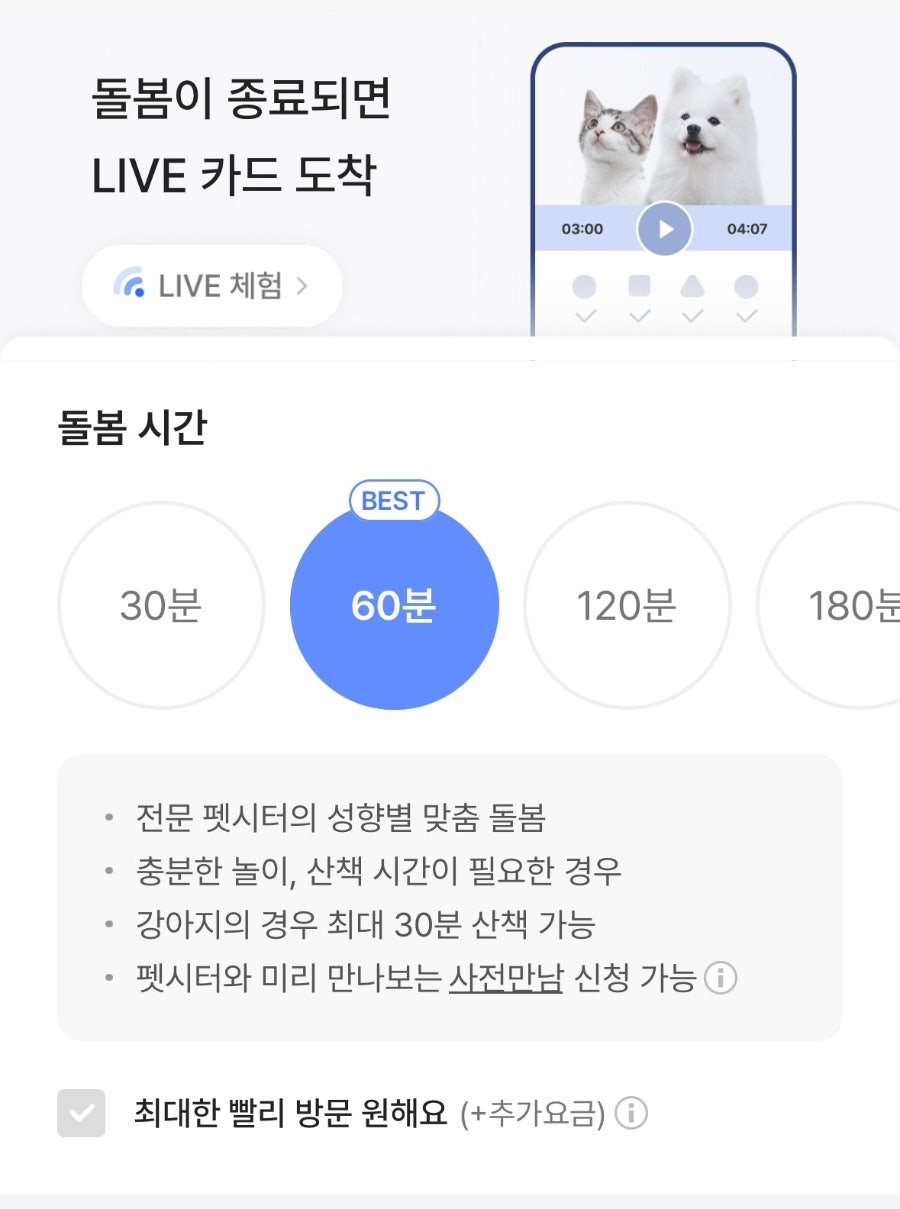 와요펫시터 고양이 돌봄 서비스, 2일 이용 후기 — 사진 2