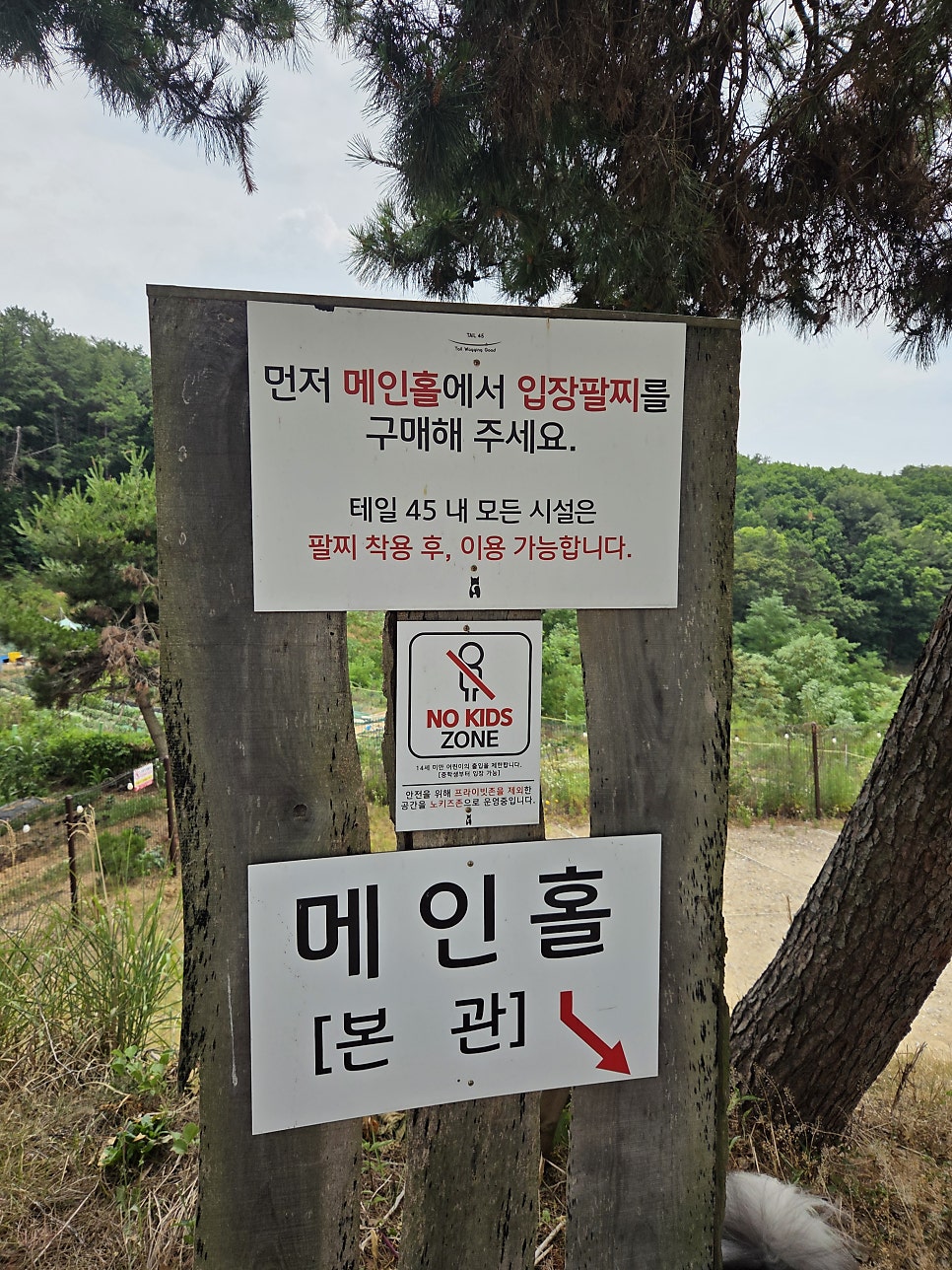 용인 테일45 애견운동장, 5000평 규모 프라이빗존 후기 — 사진 8