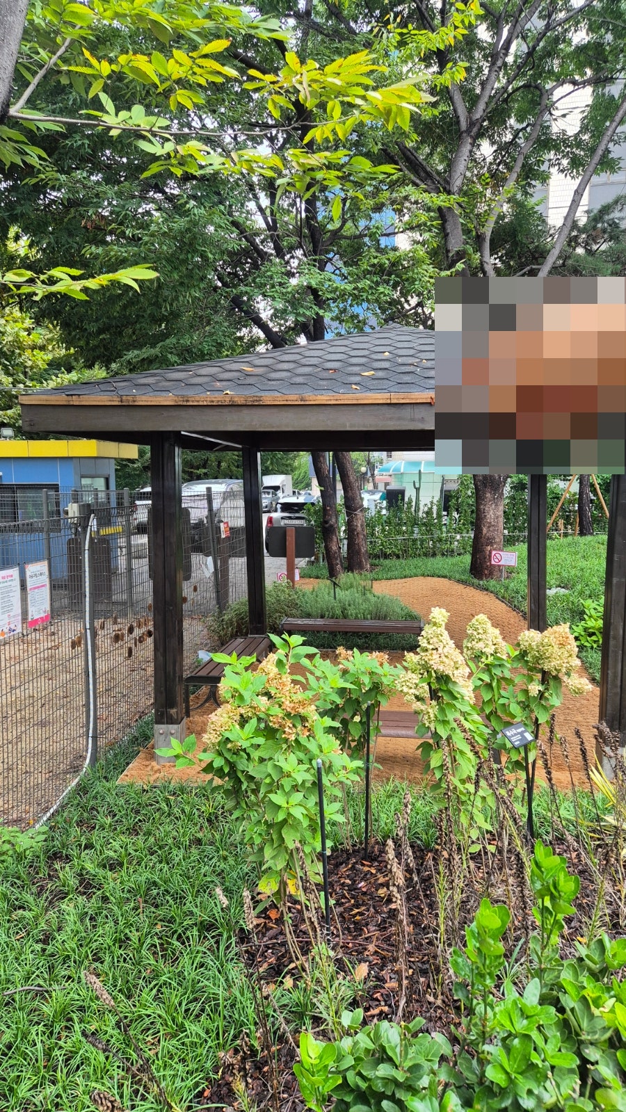 서울 마포구 댕댕이공원: 강아지 놀이터 이용 후기 — 사진 8
