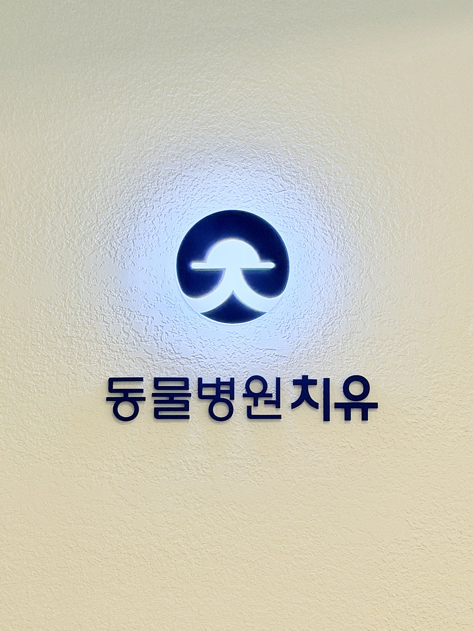 강아지 디스크 크라이오 치료, 도곡치유 동물병원 비용 및 후기 — 사진 15