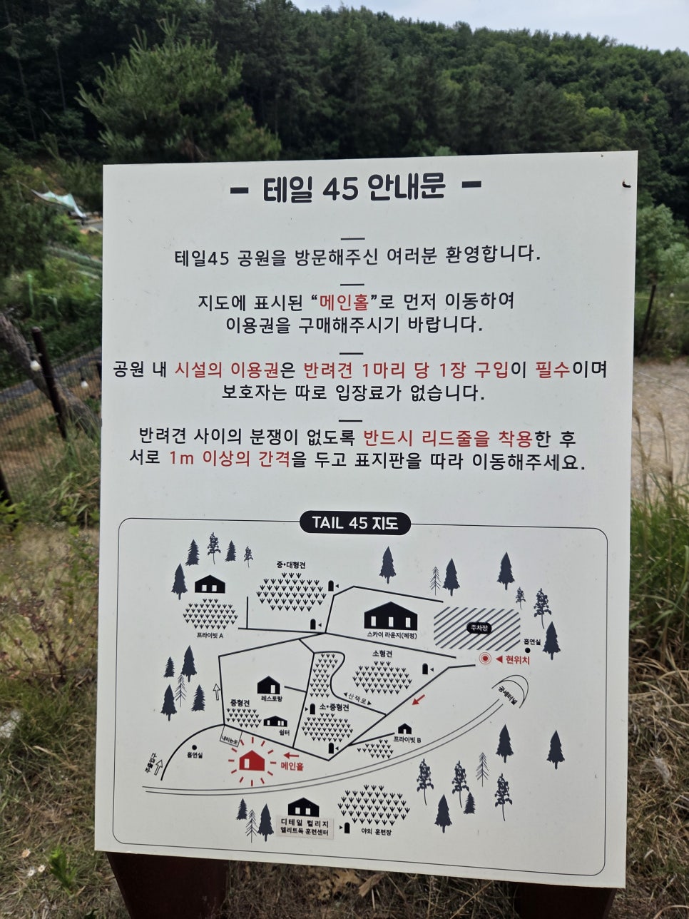 용인 테일45 애견운동장, 5000평 규모 프라이빗존 후기 — 사진 7