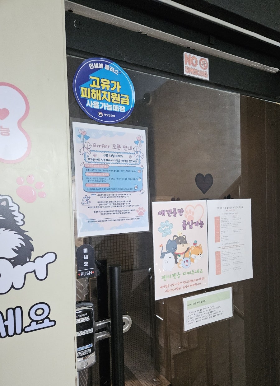의왕 애견카페 그르르아르르: 수원 실내 강아지 놀이터 후기 — 사진 3