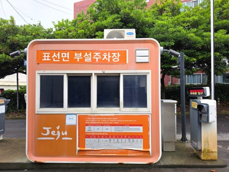 야문어 사진 6