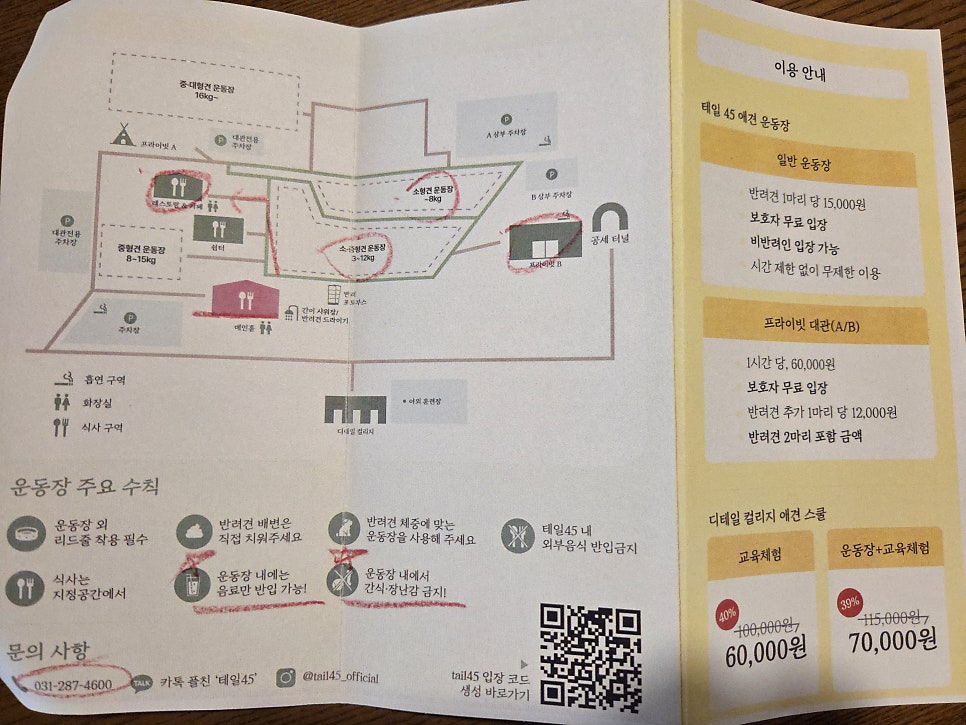 용인 테일45 애견운동장, 5000평 규모 프라이빗존 후기 — 사진 12