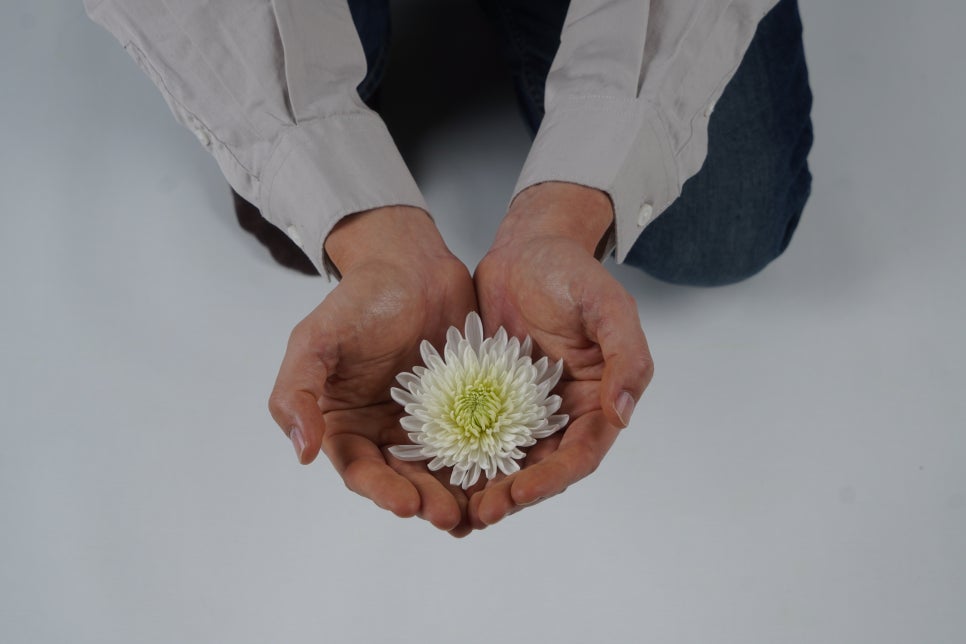 강아지 장례, 합리적 비용으로 존엄하게 이별 준비 — 사진 3