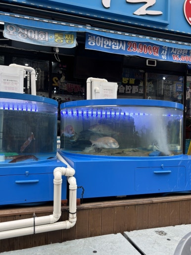 이어도 대표 사진