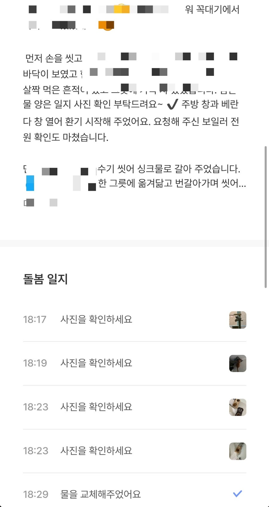 와요펫시터 고양이 돌봄 서비스, 2일 이용 후기 — 사진 9