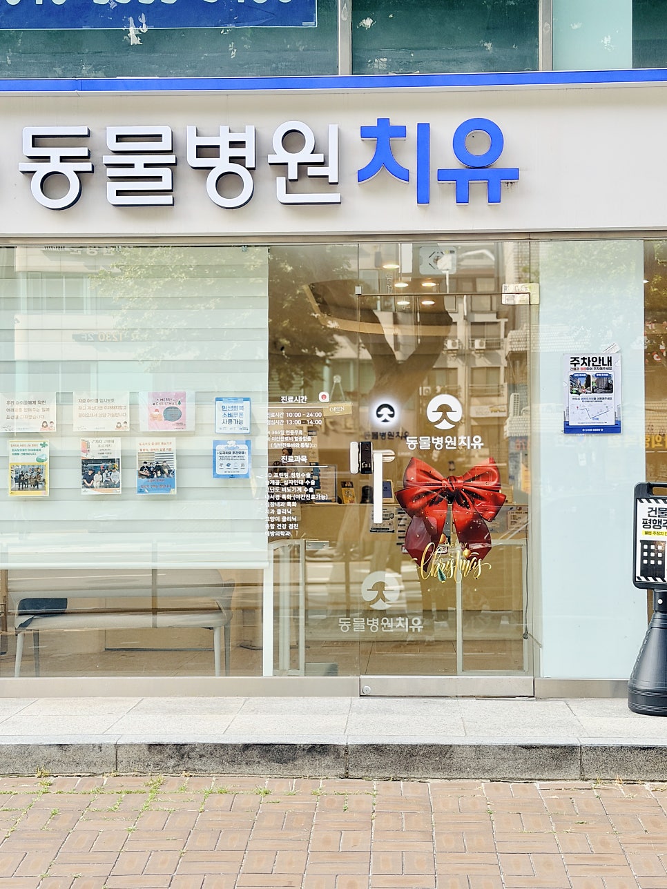 강아지 디스크 크라이오 치료, 도곡치유 동물병원 비용 및 후기 — 사진 13