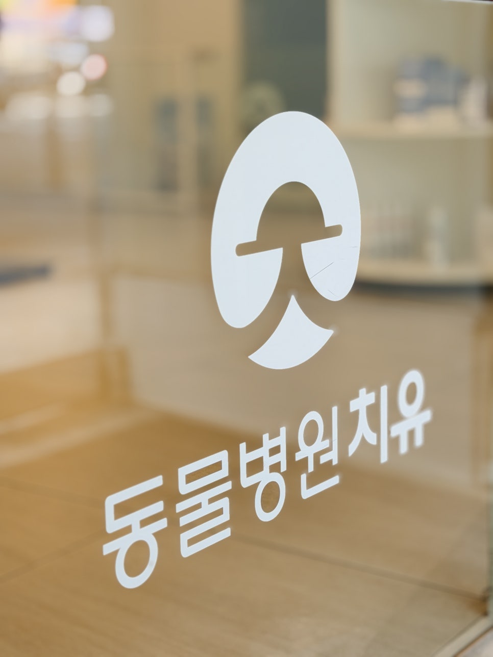 강아지 디스크 크라이오 치료, 도곡치유 동물병원 비용 및 후기 — 사진 2