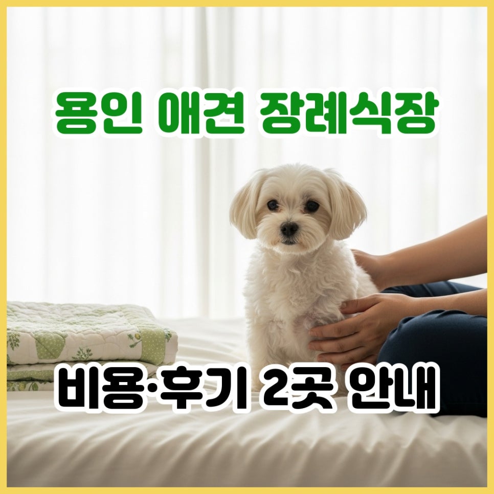 용인 강아지 장례식장 비용 및 절차 비교