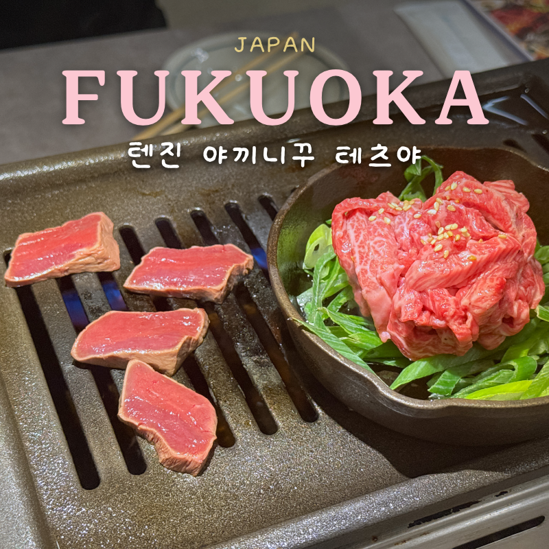 후쿠오카 야키니쿠 맛집 '테츠야' 1인 5천엔 코스 후기