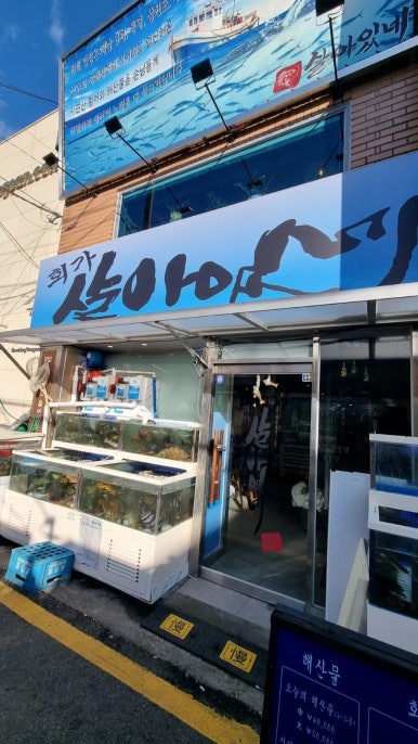 살아있네 사진 3