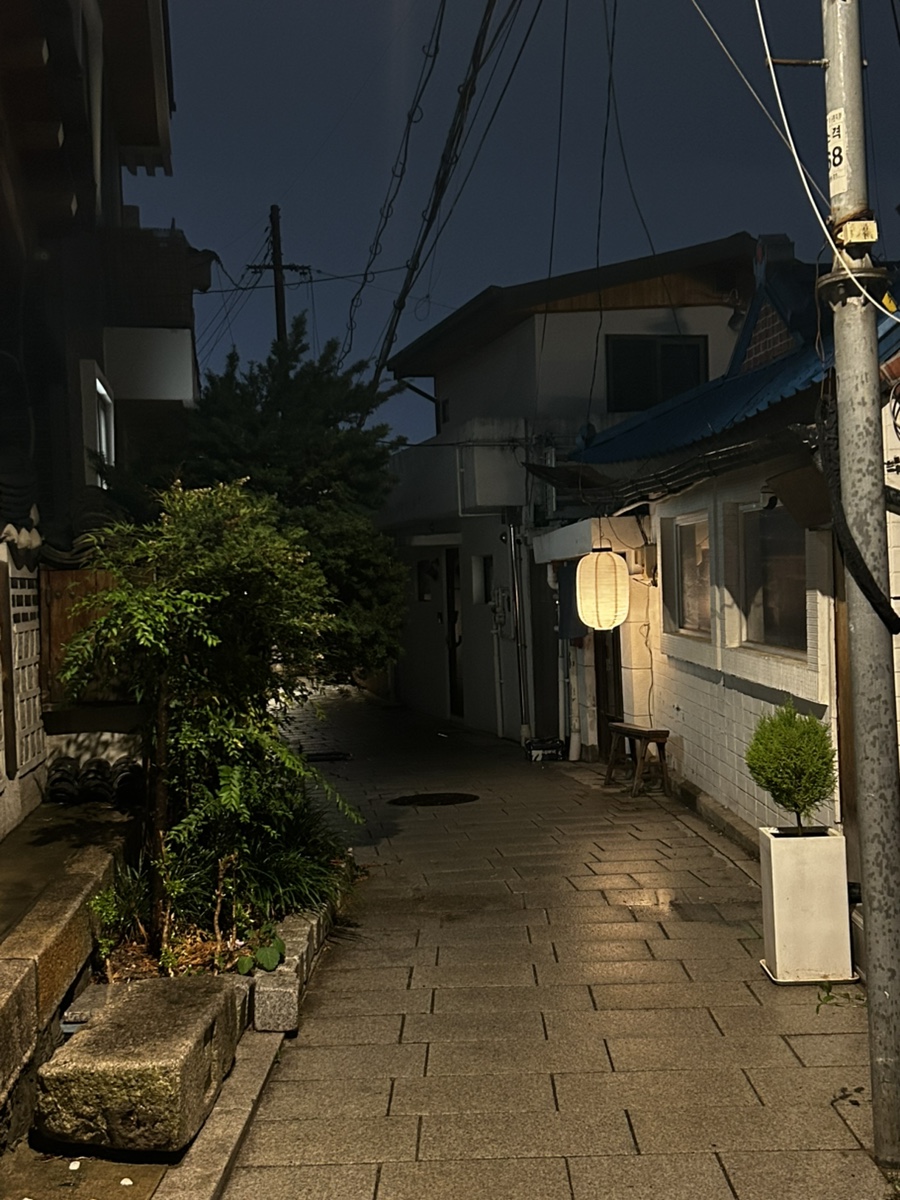 키사 사진 2
