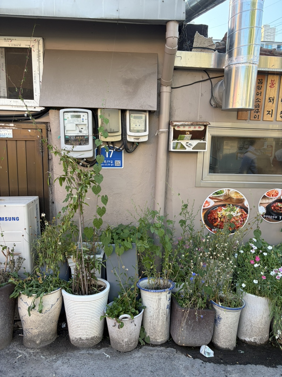 용호불낙 사진 7